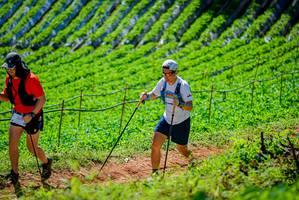 BIB: 
                            <button type="button" onclick="openModal(19163385)" class="btn btn-primary btn-sm float-right btn-popup" data-toggle="modal" data-target=".modal-high-quality">
                        <i class="fas fa-shopping-cart"></i> Add to Cart
                    </button>
                                            <button type="button" onclick="isThisMe(19163385, true)" class="btn btn-success btn-sm float-right btn-popup btn-isme hidden" data-toggle="tooltip" data-placement="bottom" title="นี่คือรูปของคุณใช่ไหม คลิกที่นี่เพื่อเอาเข้าอัลบั้ม">
                        <i class="fas fa-plus"></i> Add to album
                    </button>
                    <button type="button" onclick="isThisMe(19163385, false)" class="btn btn-warning btn-sm float-right btn-popup btn-isnotme hidden">
                        <i class="fas fa-ban"></i> Remove from album
                    </button>